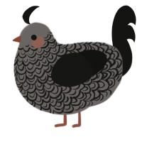 A grey and black chicken with a double-lace pattern