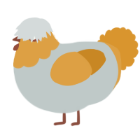 A silver and orange chicken with a head pattern