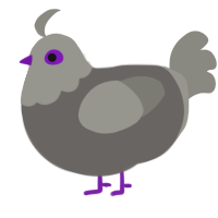 A grey and ash chicken with a head pattern