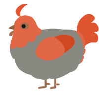 A ash and vermilion chicken with a head pattern
