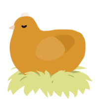 A orange chicken