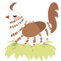 A white and brown chicken with a bar pattern