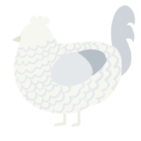 A white and mist chicken with a lace pattern