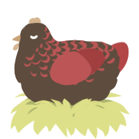 A bark and red chicken with a half-lace pattern