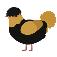 A black and gold chicken with a head pattern