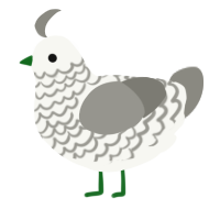 A white and ash chicken with a lace pattern