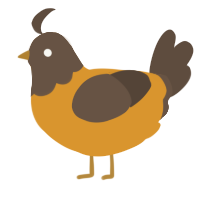 A orange and bark chicken with a head pattern