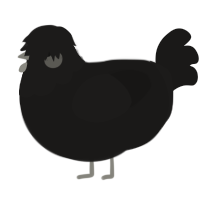 A sable chicken with a head pattern