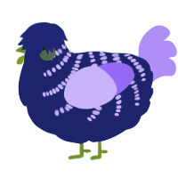 A navy and lilac chicken with a half-bar pattern