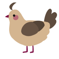 A beige and bark chicken
