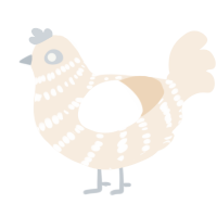 A cream chicken with a bar pattern