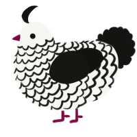 A white and black chicken with a lace pattern