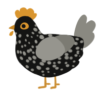 A black and ash chicken with a speckle pattern