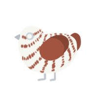 Tiramisu, a white and russet chicken with a bar pattern