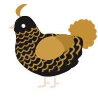 A sable and gold chicken with a lace pattern
