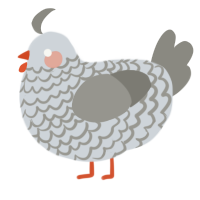 A mist and ash chicken with a lace pattern