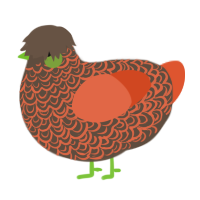 A bark and vermilion chicken with a double-lace pattern
