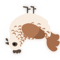 A cream and brown chicken with a half-lace pattern