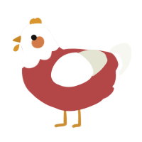 A red and white chicken with a head pattern