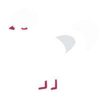 A cream and mist chicken