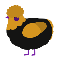 A black and ochre chicken with a head pattern