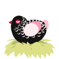 A black and rose chicken with a half-lace pattern