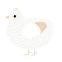 A white and cream chicken with a lace pattern