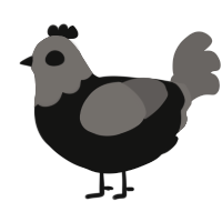A black and grey chicken with a head pattern