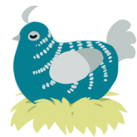 A sea and silver chicken with a half-bar pattern