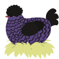 A overcast and sable chicken with a lace pattern