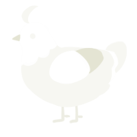 A white chicken with a head pattern