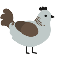 A silver and bark chicken with a neck-band pattern