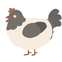 A cream and grey chicken with a head pattern