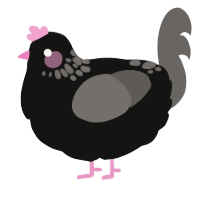 A black and grey chicken with a neck-speckle pattern