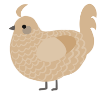 A beige chicken with a lace pattern