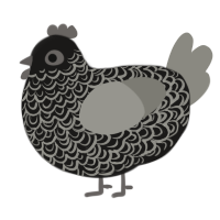 A sable and ash chicken with a double-lace pattern