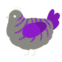 A ash and violet chicken with a half-bar pattern