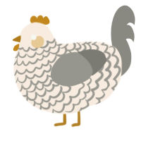 A cream and ash chicken with a lace pattern