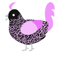 (unnamed), a black and lavender chicken with a double-lace pattern