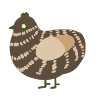 A bark and beige chicken with a bar pattern