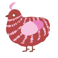 A red and pink chicken with a bar pattern
