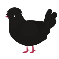 A sable chicken with a head pattern