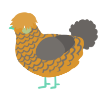 A orange and grey chicken with a lace pattern