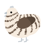 A cream and bark chicken with a bar pattern