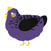 A overcast and black chicken with a half-lace pattern