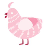A rose chicken with a bar pattern