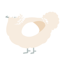 A cream chicken with a neck-band pattern