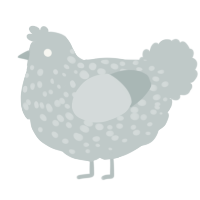 A silver chicken with a speckle pattern