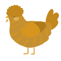 A gold and ochre chicken with a bar pattern