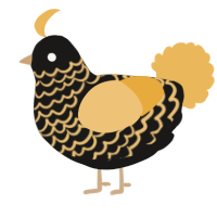 A sable and honey chicken with a lace pattern